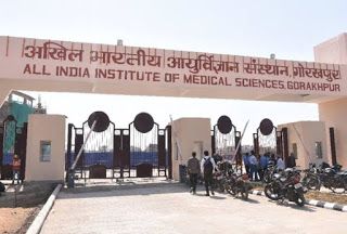 Allegations of Nepotism at AIIMS Gorakhpur: Director Under Fire for Son’s Admission in PG Course