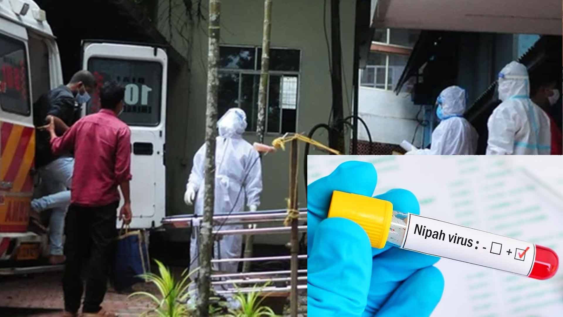 Nipah Virus Claims Life of 14-Year-Old in Kerala Amidst Rising Concerns